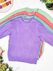 IN STOCK Corrine Ribbed Pullover Top - Purple