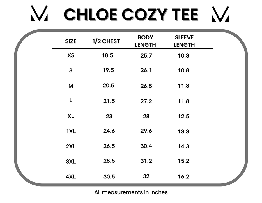 IN STOCK Chloe Cozy Tee - Grey | Women's V-Neck Top